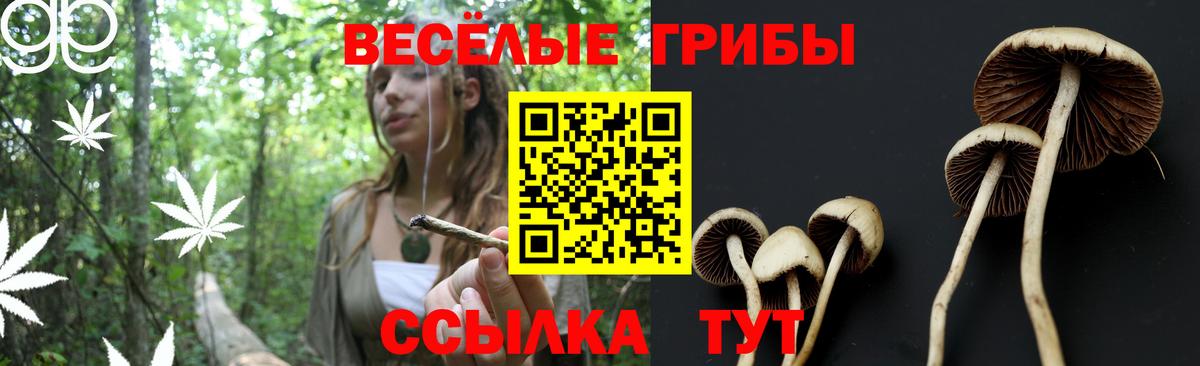 Галлюциногенные грибы Cubensis  Вход с VPN  Галлюциногенные грибы Psilocybe  Новодвинск 